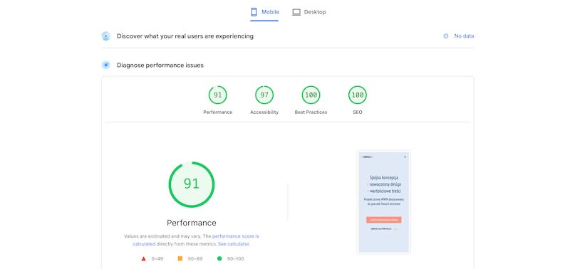 PageSpeed Insights (1) Wyniki PageSpeed Insight